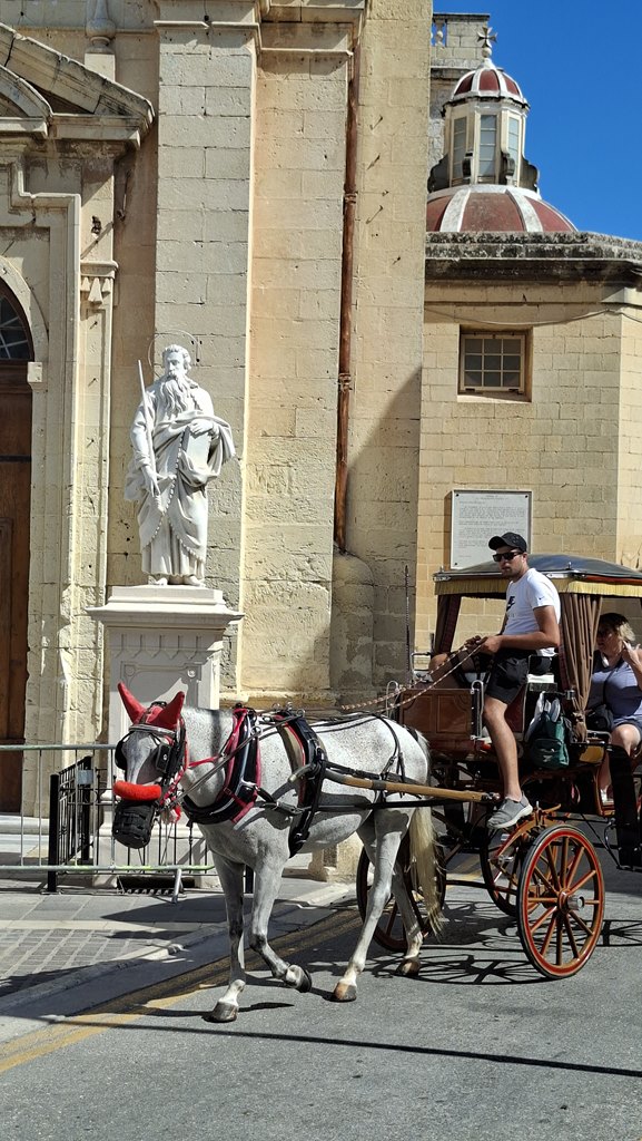 20250917 145808(0) (Copy)